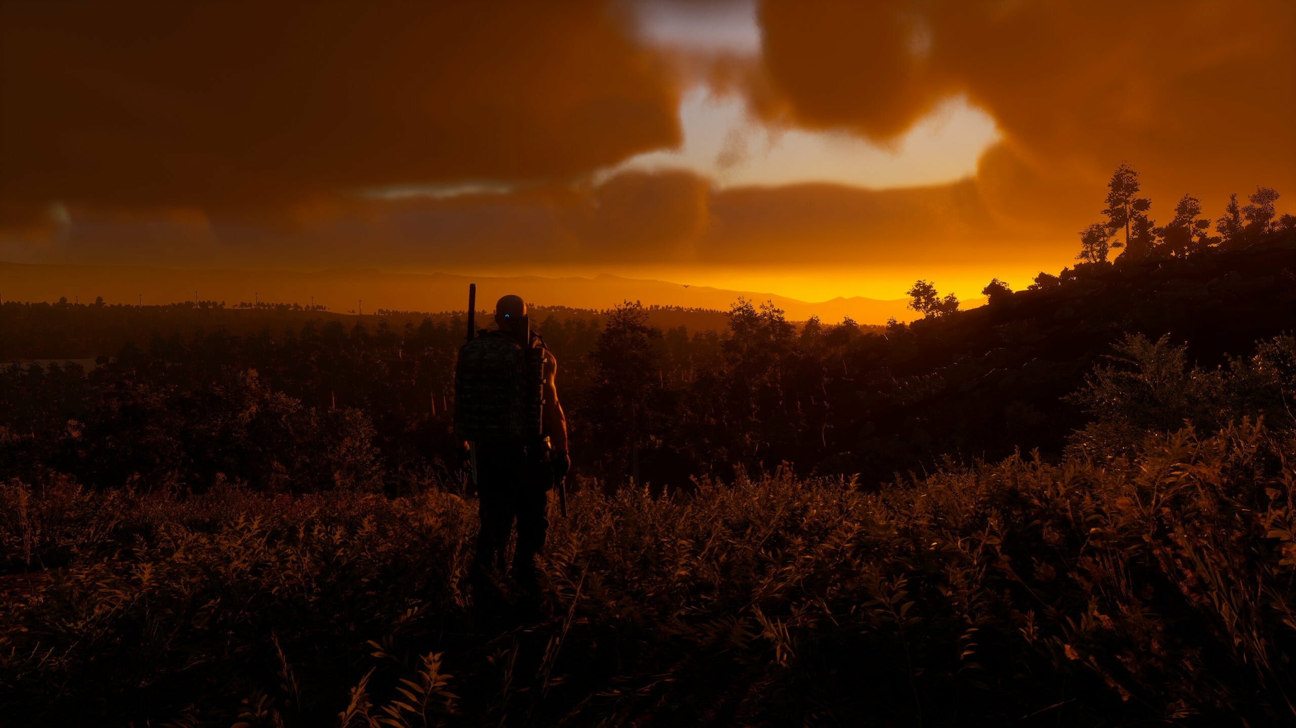 Bottom Background Image